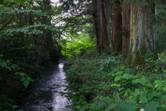 旧道　日光街道　Ⅱ