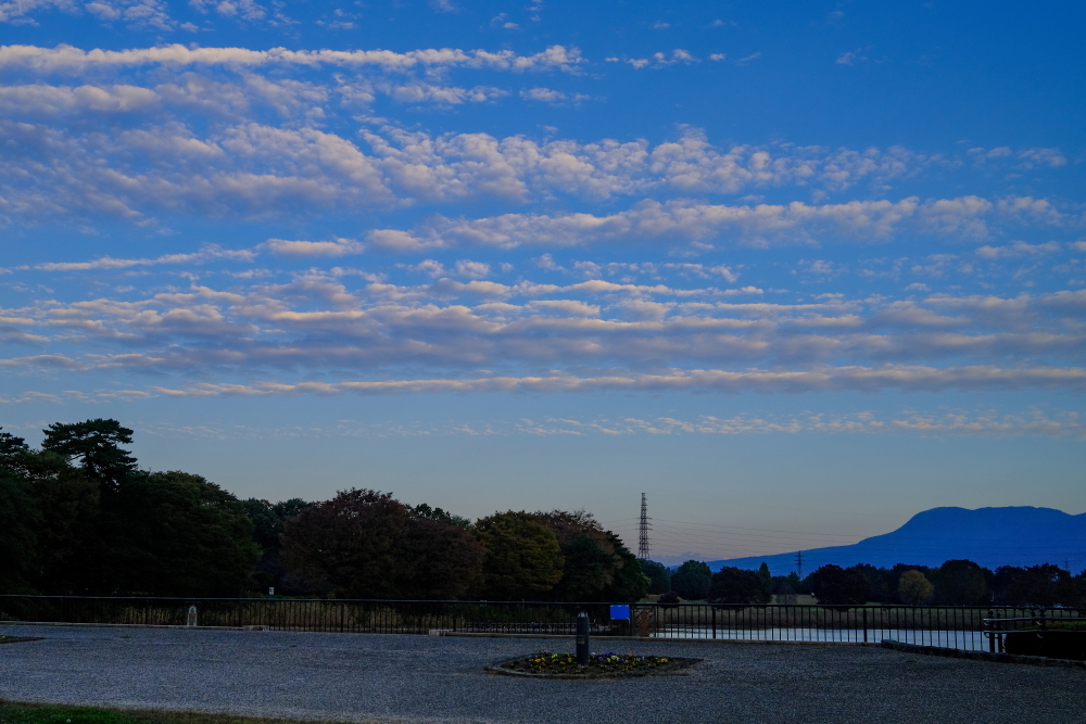 おおむろ公園散歩