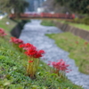 早川散歩