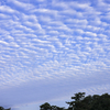 古墳公園  朝の雲、 