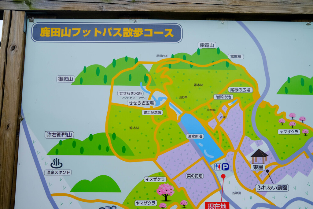 ホットパス