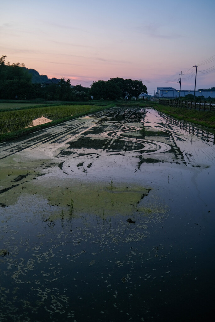 夜明け前　