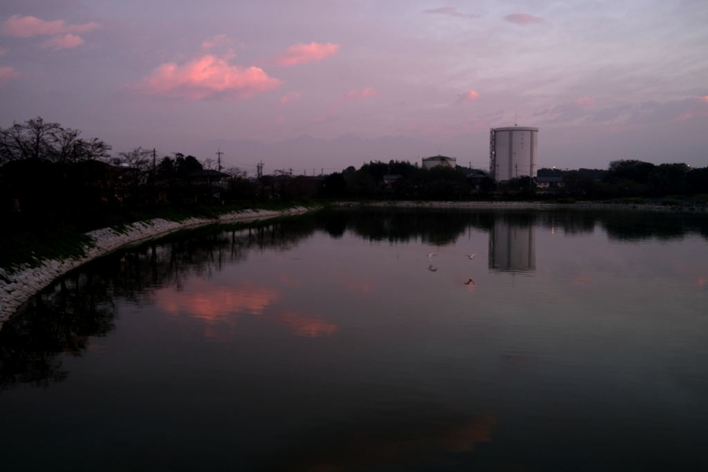 早朝散歩　波志江公園