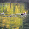 大室公園　
