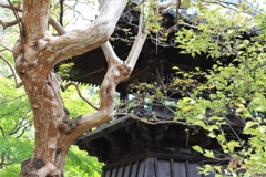 鑁阿寺（ばんなじ）