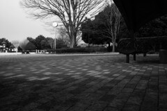 静かな散歩道