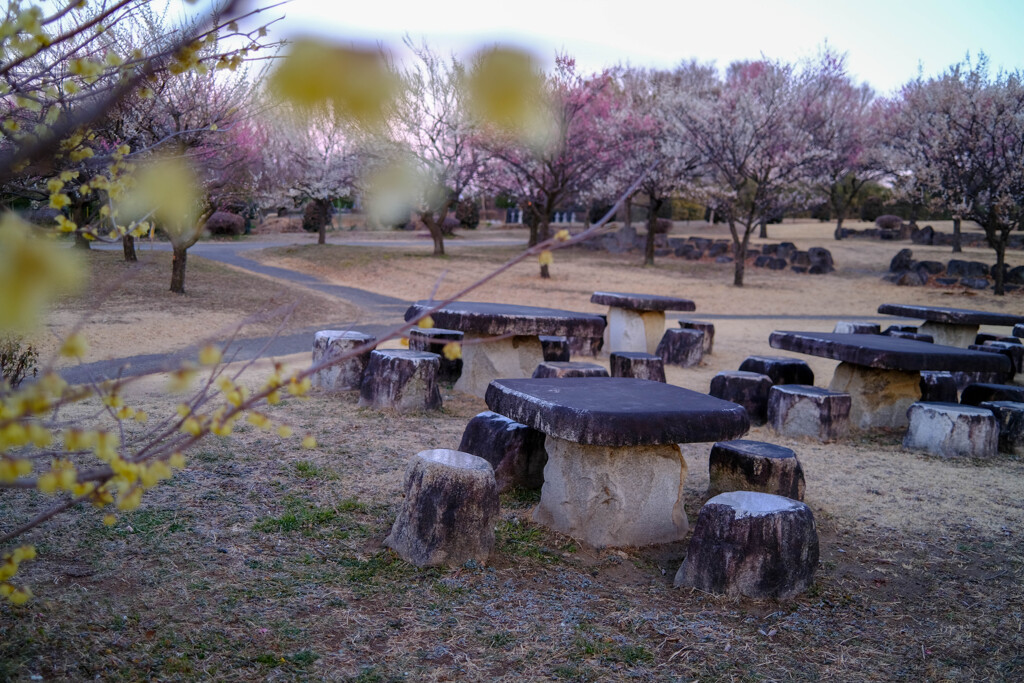 石の広場