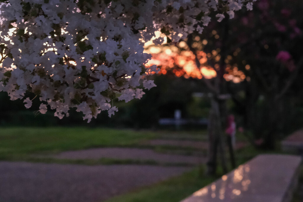 大室公園