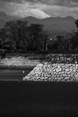 散歩道（波志江沼） 