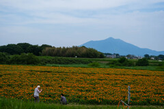 小貝川ふるさと公園（下妻市）