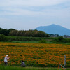 小貝川ふるさと公園（下妻市）