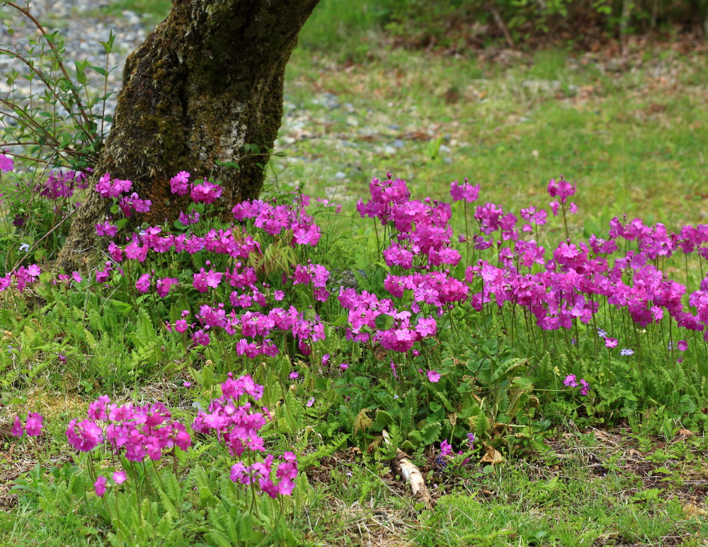 今日の散歩の終点です。