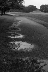 雨の朝