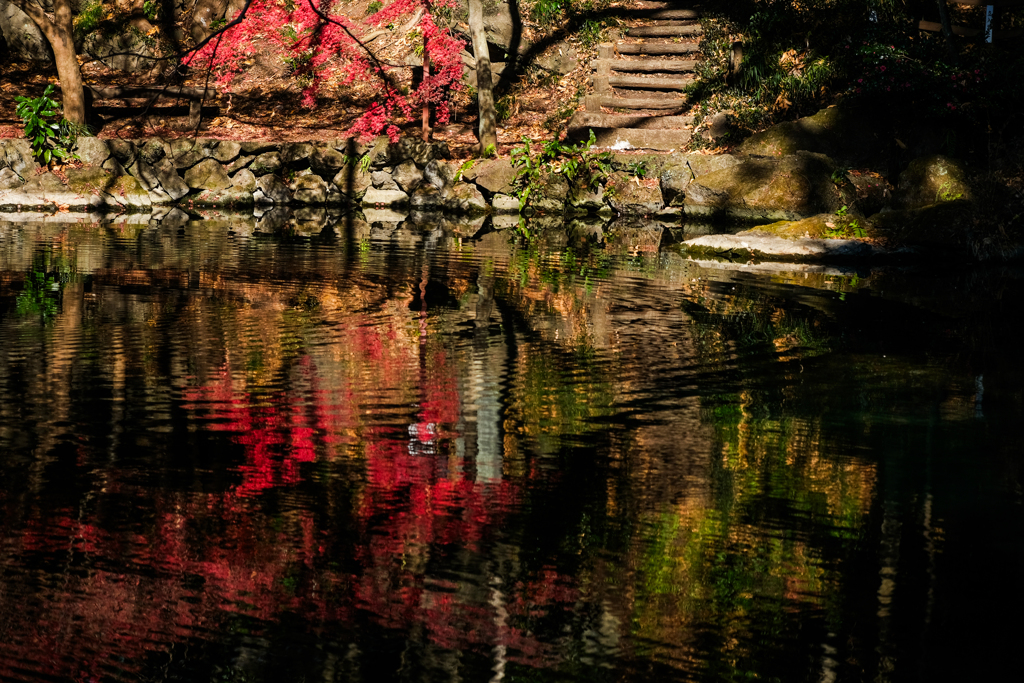 輝きの湖畔（出流原湧水）
