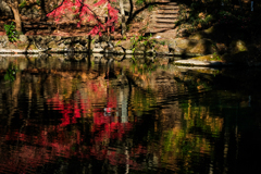 輝きの湖畔（出流原湧水）