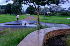 公園の朝