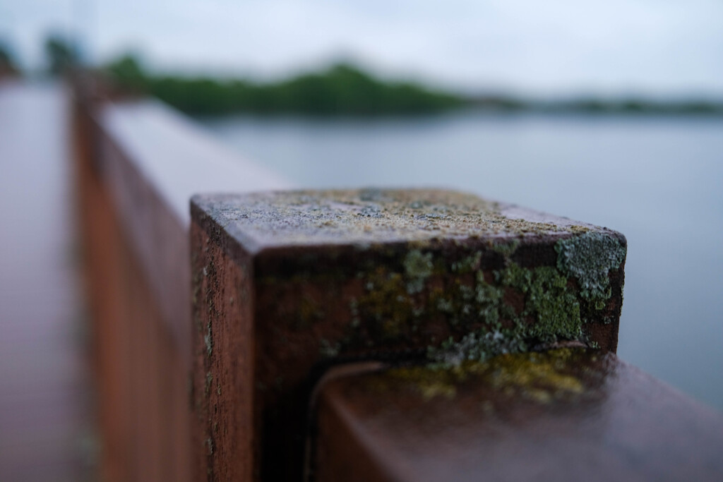 雨の湖畔