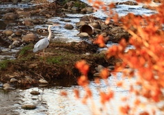 環境破壊１歩前、