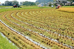 美浦村を訪ねて、