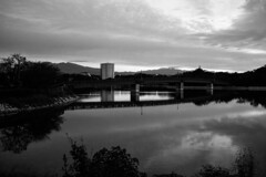散歩道　