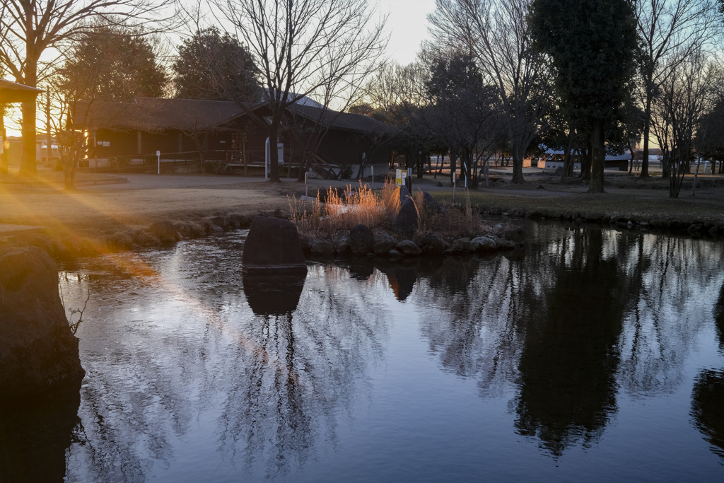 せせらぎ公園、光刺す朝