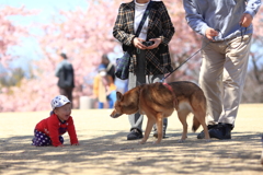 春の思い出、