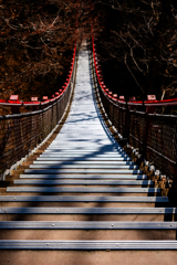 熊も怖いが階段も怖い