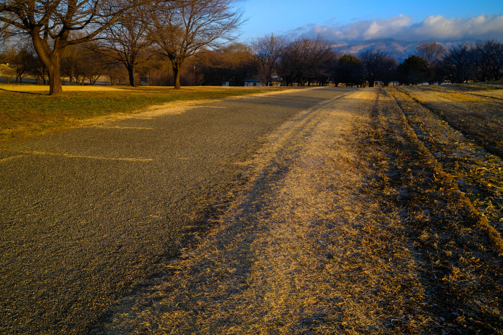 散歩道