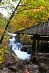 憾満ヶ淵  憾満ヶ淵