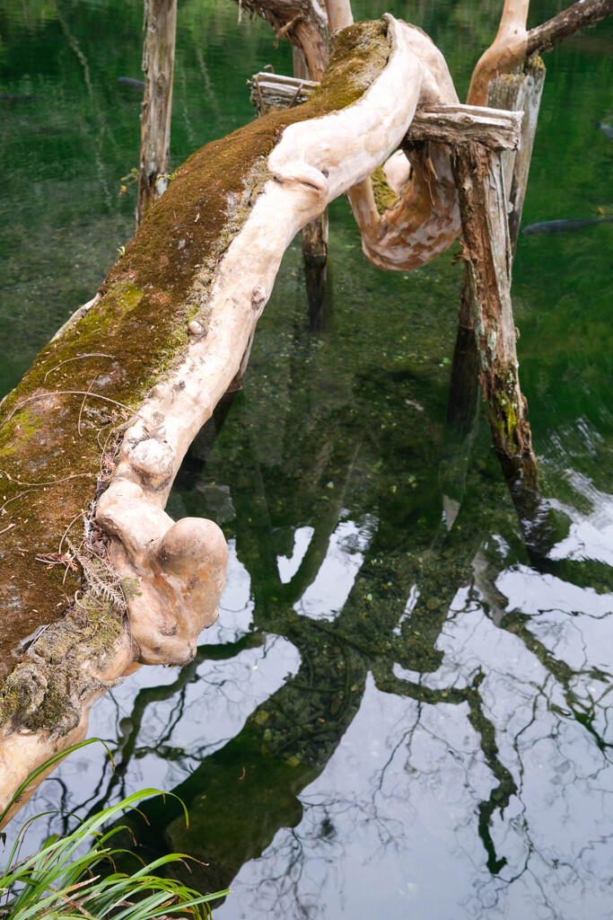 湧水池（通称赤見池）