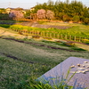 夢のある公園、