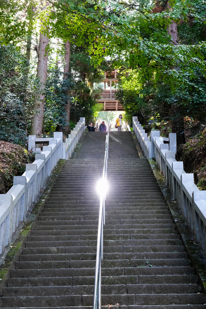 少林山達磨寺