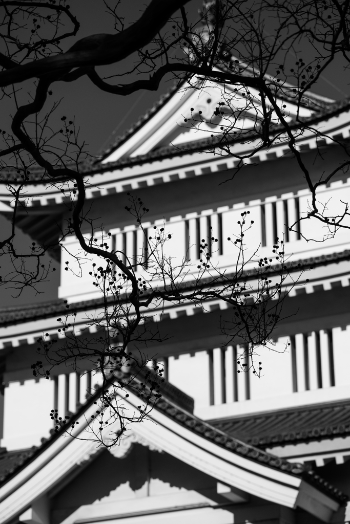 忍城（行田市）