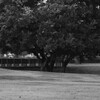 大室公園　