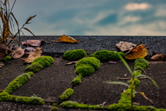 湖畔散歩