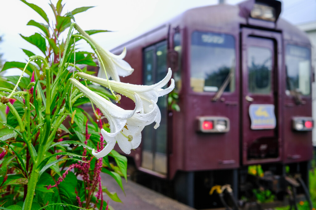 雨の停車場