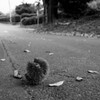 更け行く秋