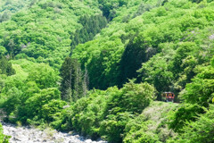 渡良瀬渓谷鉄道
