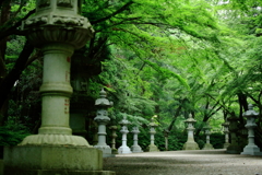静寂に厳かに香取神宮、