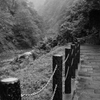 雨の清津峡