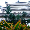 忍　城　（おしじょう）
