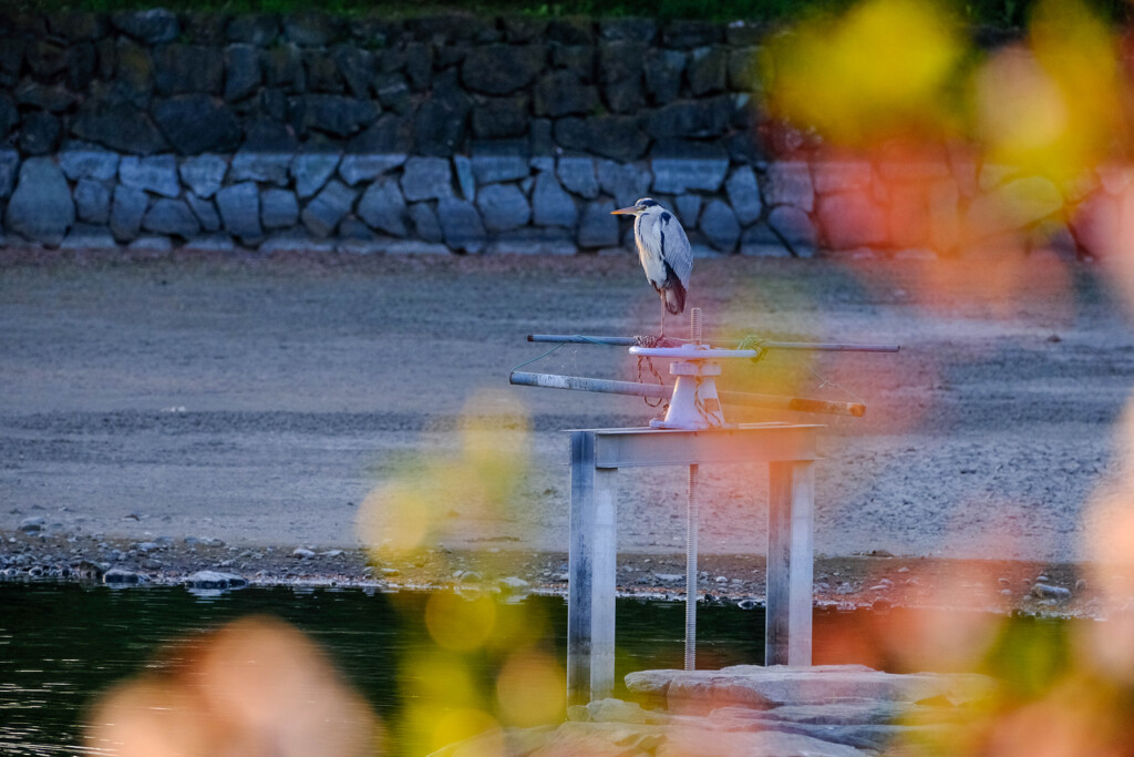 春の朝