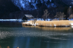 暖冬の湖畔、奥日光湯の湖、