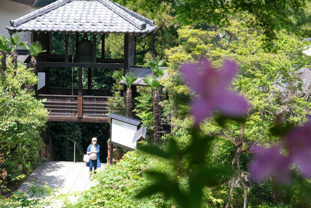 少林山達磨寺