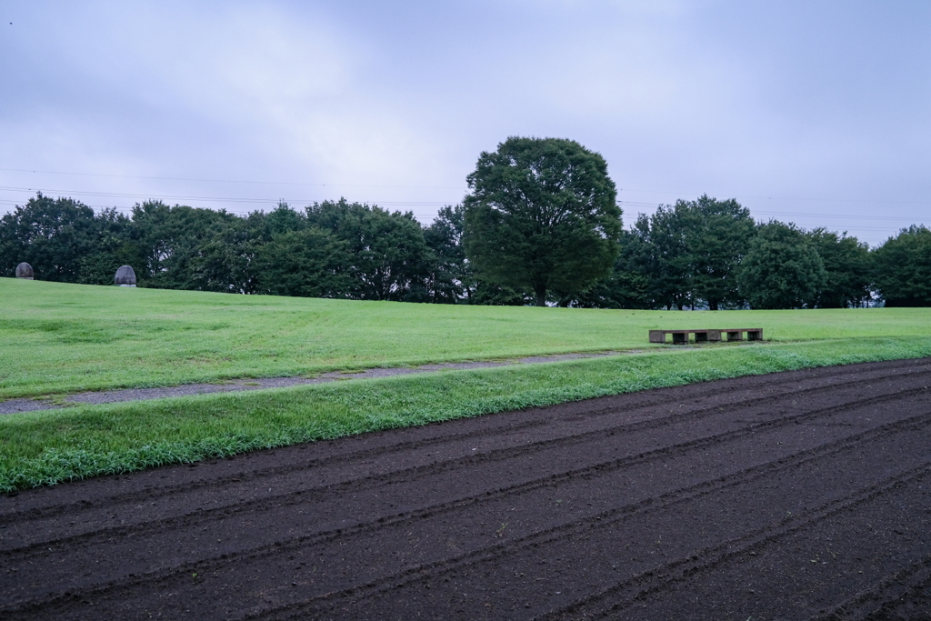 雨　大室公園