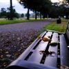 大室公園　朝のベンチ