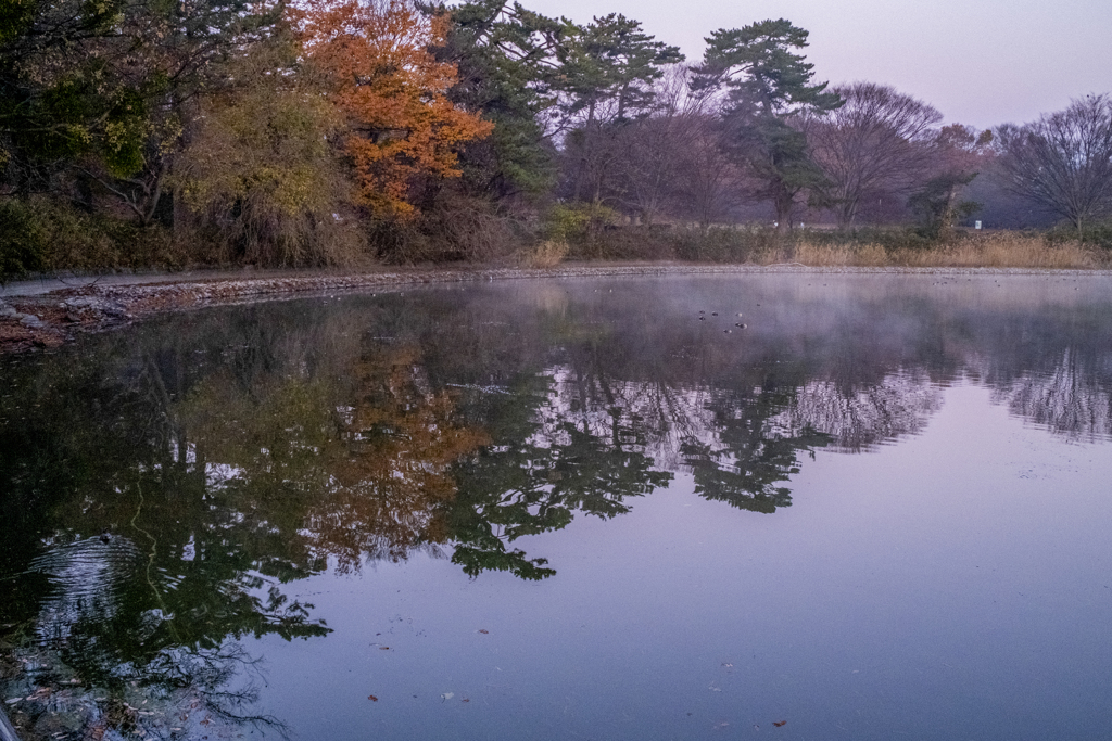 大室公園　早朝散歩、