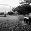 夜明けの散歩道