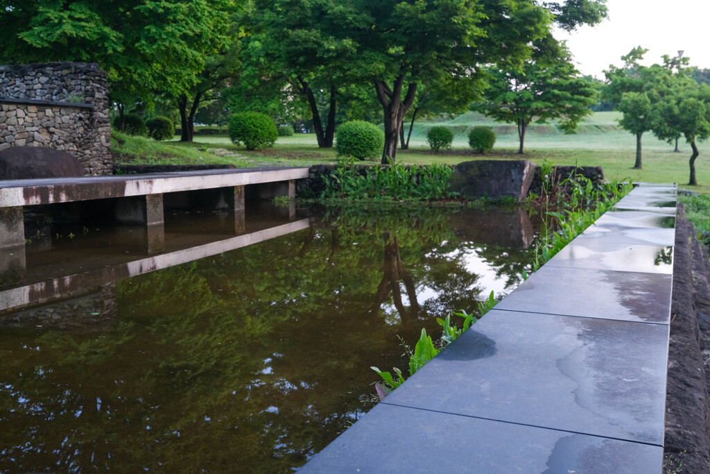雨上がり