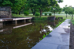 雨上がり